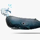 092_Sperm-Whale-1_2025.07.webp