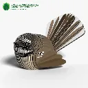 002_Fantail-2_2025.08.webp