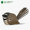 002_Fantail-1_2025.08.webp