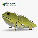 004_Tuatara-1_2025.08.webp