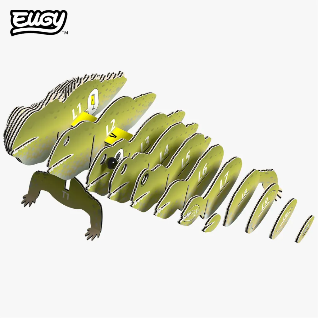 004_Tuatara-Exploded_2025.08.webp