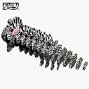 011_Zebra-Exploded_2025.08.webp