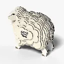 018_Sheep-4_2025.08.webp