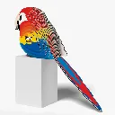 023_Parrot-4_2025.08.webp