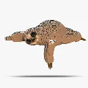 032_Sloth-2_2025.08.webp
