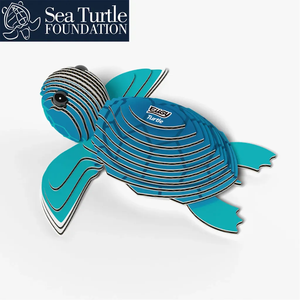 038_Turtle-4_2025.08.webp