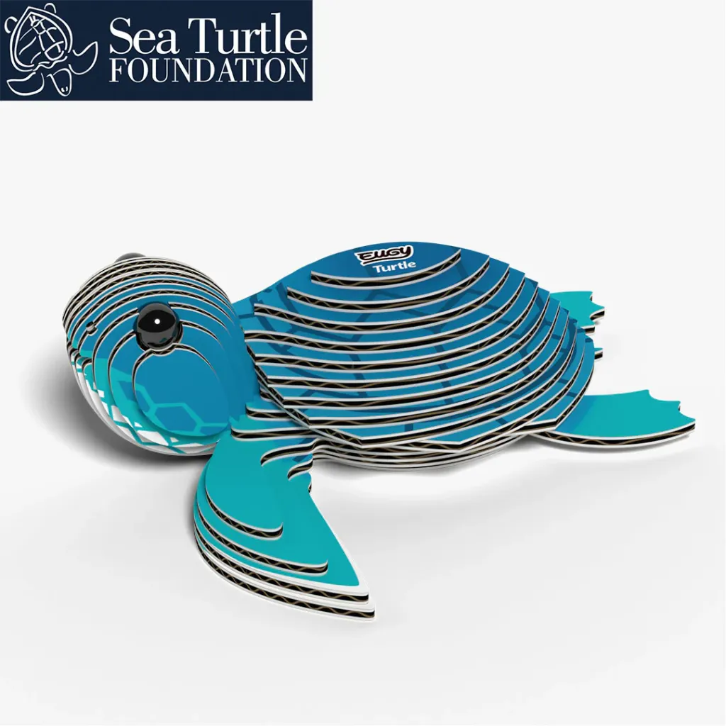 038_Turtle-1_2025.08.webp