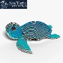 038_Turtle-1_2025.08.webp