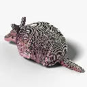 095_Armadillo-4_2025.08.webp
