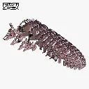 095_Armadillo-Exploded_2025.08.webp