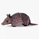 095_Armadillo_2025.08-1.webp