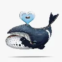 084_Bowhead-Whale-1_2025.08.webp