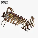 119_Giant-Weta-Exploded_2025.08.webp