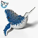 051_Humpback-Whale-4_2025.08.webp