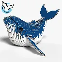 051_Humpback-Whale-2_2025.08.webp
