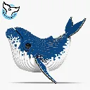 051_Humpback-Whale-1_2025.08.webp