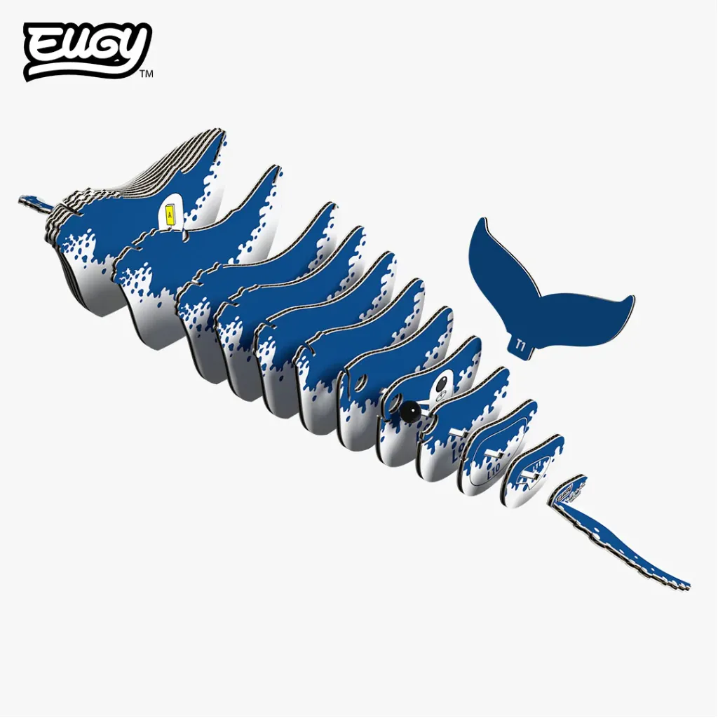 051_Humpback-Whale-Exploded_2025.08.webp