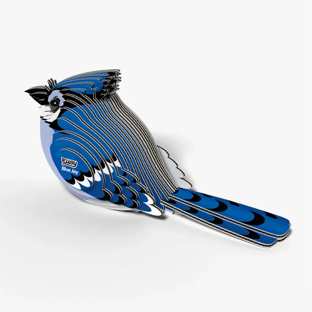 067_Blue-Jay-4_2025.08.webp