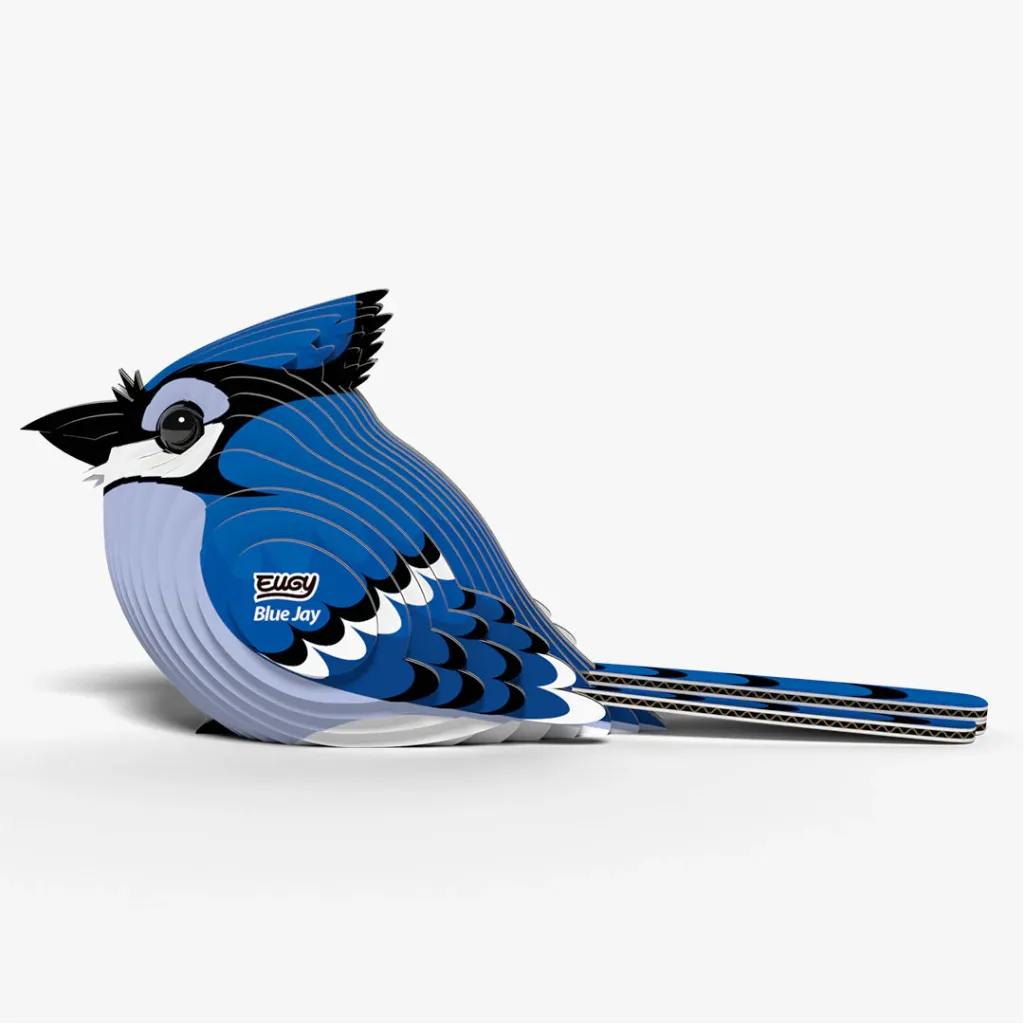 067_Blue-Jay-2_2025.08.webp
