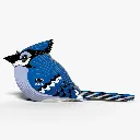 067_Blue-Jay-2_2025.08.webp