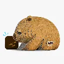 078_Wombat-1_2025.08.webp