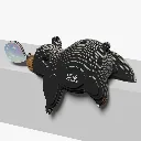 081_Black-Bear-4_2025.08.webp