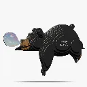 081_Black-Bear-1_2025.08.webp