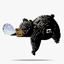 081_Black-Bear-2_2025.08.webp