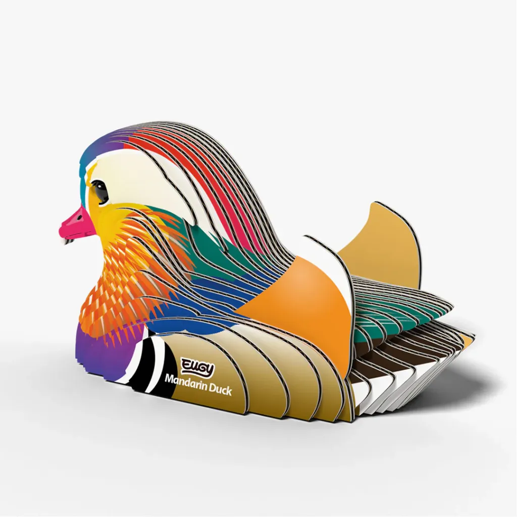 096_Mandarin-Duck-4_2025.08.webp