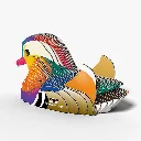 096_Mandarin-Duck-4_2025.08.webp