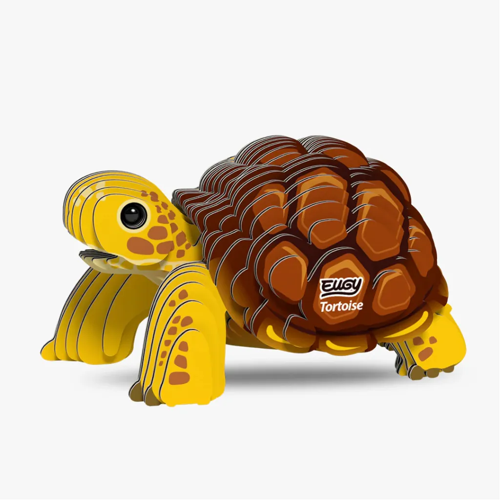 104_Tortoise-1_2025.08.webp