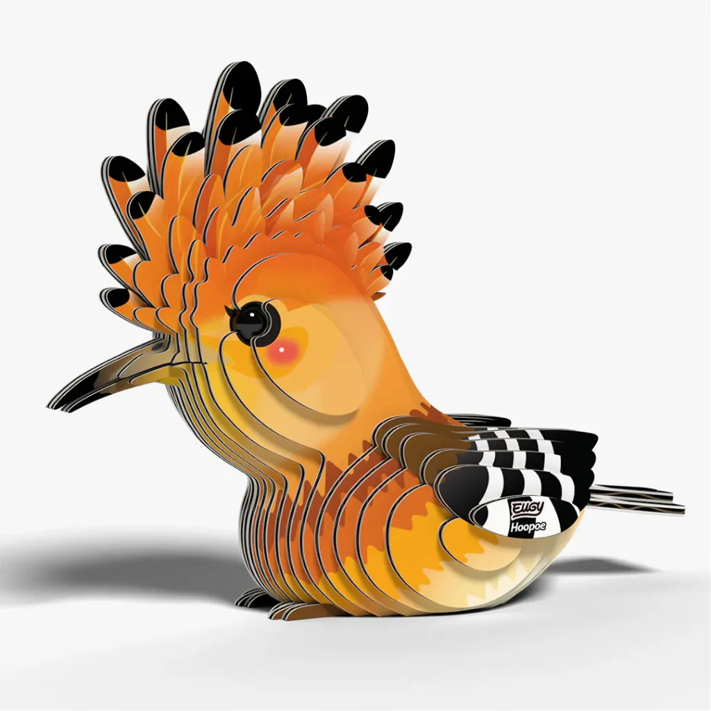 105_Hoopoe-2_2025.08.webp