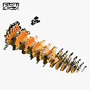 105_Hoopoe-Exploded_2025.08.webp