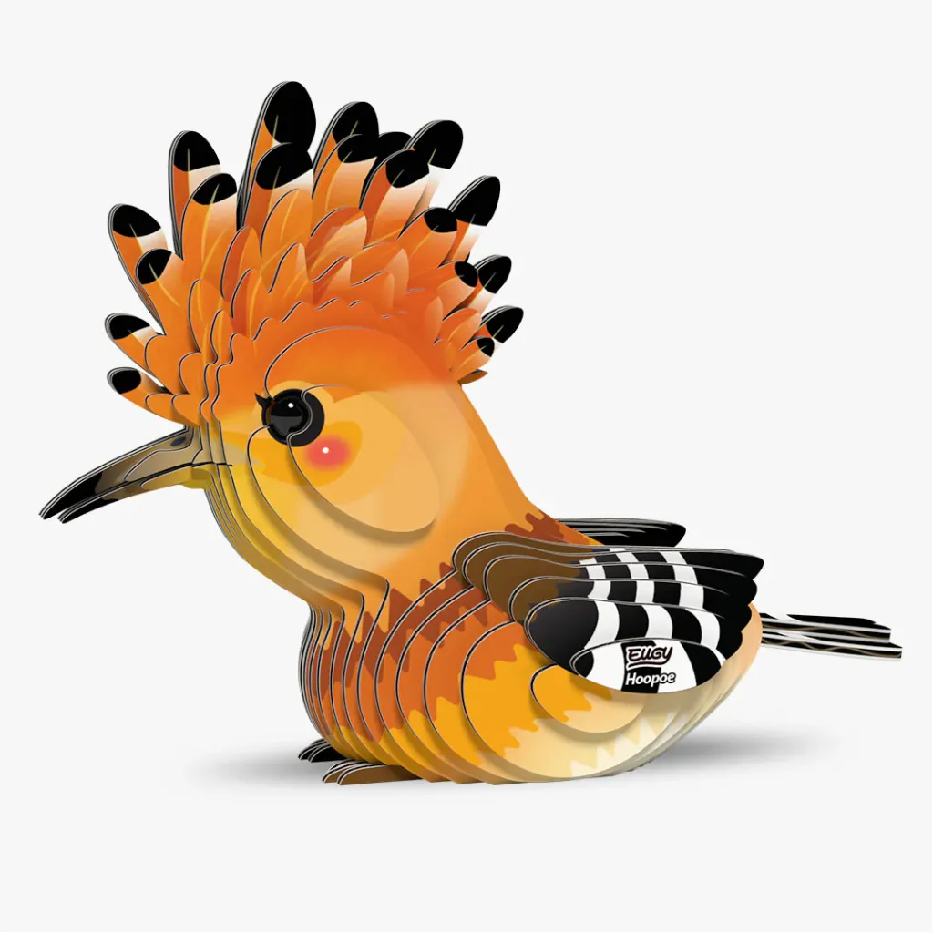 105_Hoopoe-1_2025.08.webp