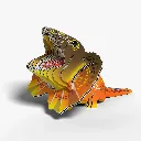 108_Frilled-Lizard-2_2025.08.webp