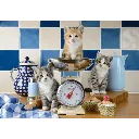 58370_Motiv.webp