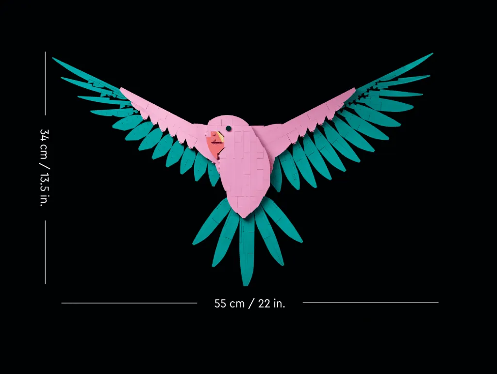31211_alt2.webp