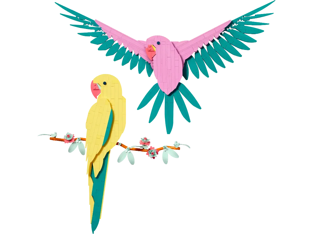 31211.webp