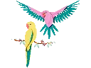 31211.webp