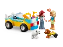 42635_alt1.webp