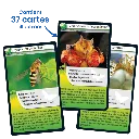 defis-nature-abeilles-et-autres-pollinisateurs (1).webp