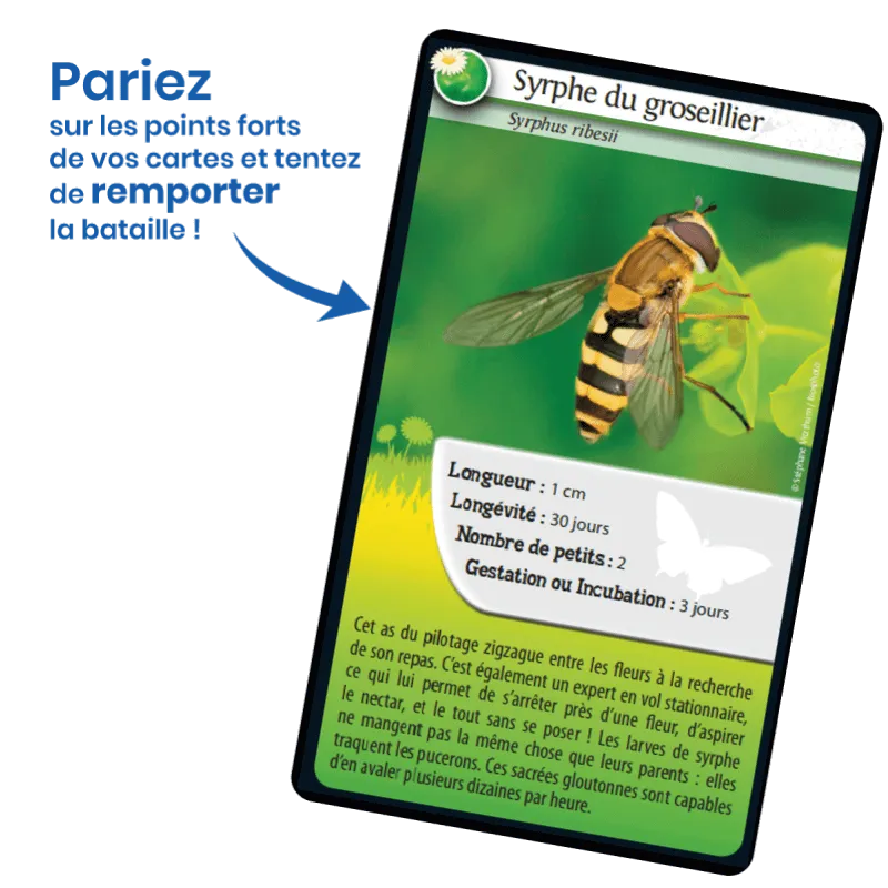 defis-nature-abeilles-et-autres-pollinisateurs (2).webp