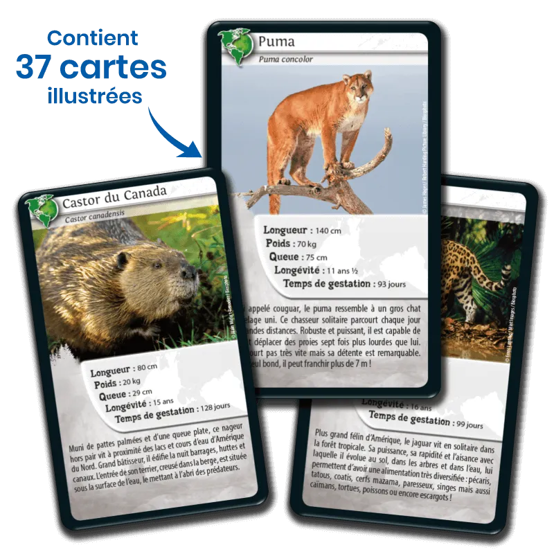 defis-nature-ameriques (2).webp