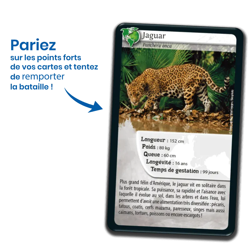 defis-nature-ameriques (1).webp