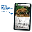 defis-nature-ameriques (1).webp