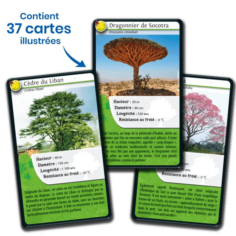 defis-nature-arbres-du-monde (2).webp