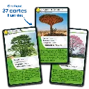 defis-nature-arbres-du-monde (2).webp