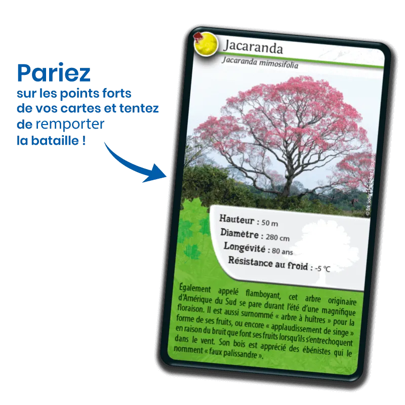 defis-nature-arbres-du-monde (1).webp