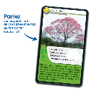 defis-nature-arbres-du-monde (1).webp