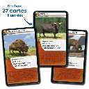 defis-nature-animaux-prehistoriques (2).webp